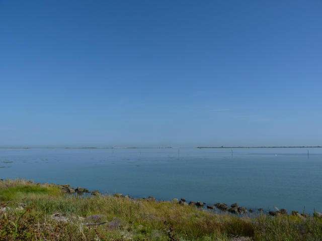 P1190871