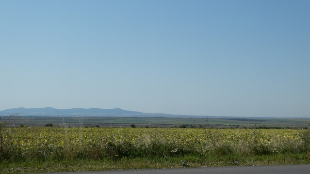 P1060393